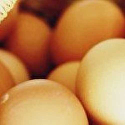 Cuisson des œufs : coque, mollet et dur