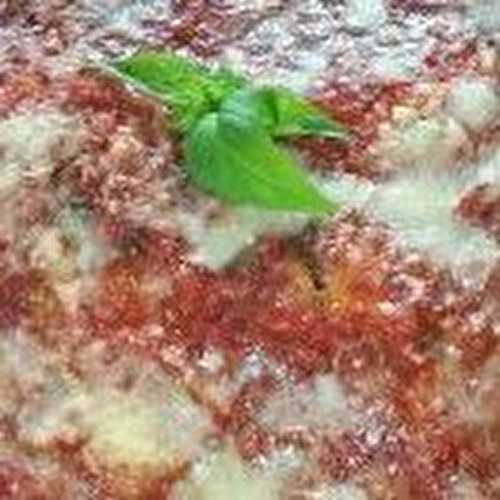 Pizza américaine