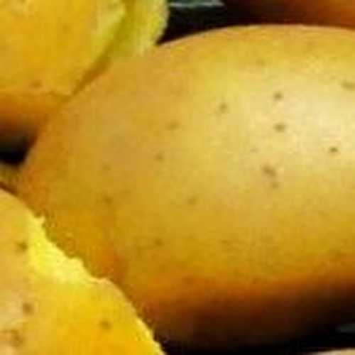 Pommes de terre « plume ta part »