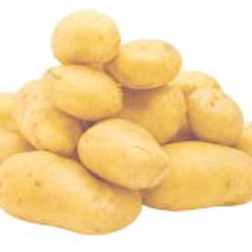 Pommes de terre rôties aux épices