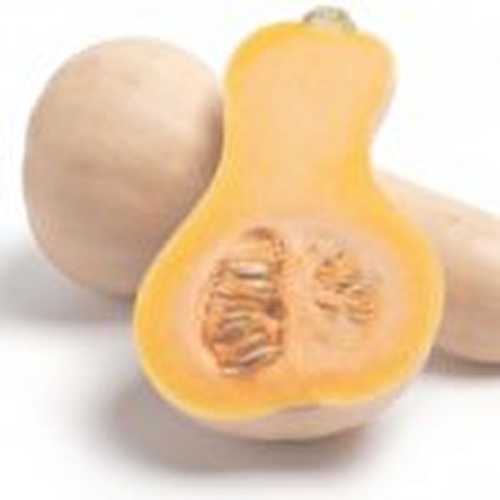 Purée de butternut