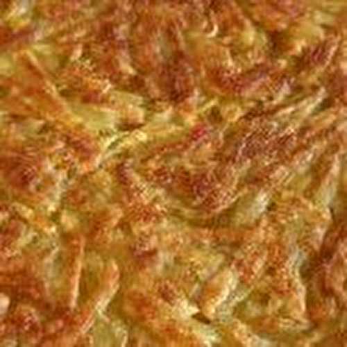 Rösti (galette de pomme de terre)