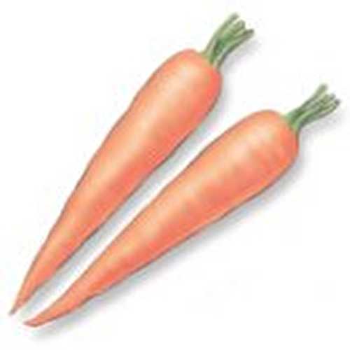 Tagliatelles de carottes au cumin et aux raisins secs