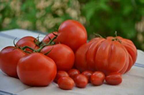 Trois salades d'été pour changer de la tomate-mozza