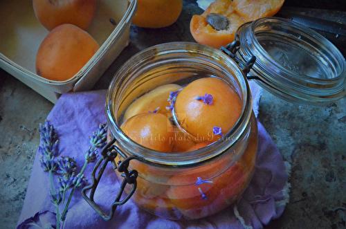 Abricots au sirop de lavande, en conserve