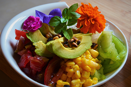 Avocado Bowl