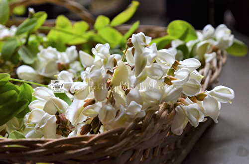 Beignets de fleurs d'acacia