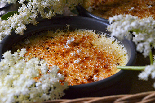 Crèmes brûlées à la fleur de sureau