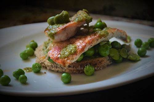 Filets de rouget barbet aux petits pois et fèves du printemps 