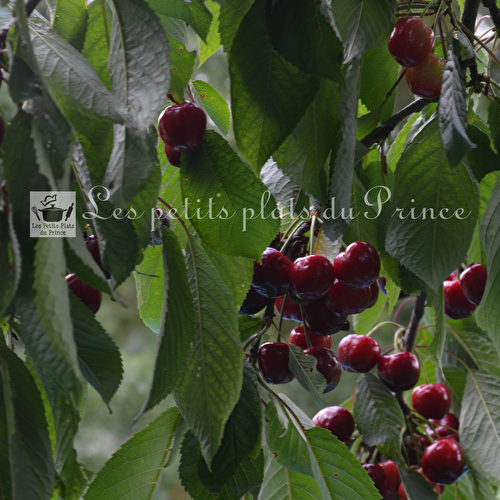 La cerise, premier fruit à noyau de l'année