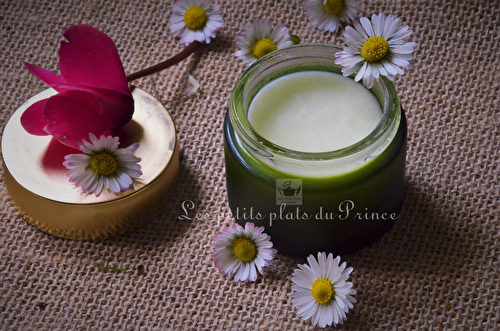 Macérat huileux de Pâquerettes (Bellis perennis)