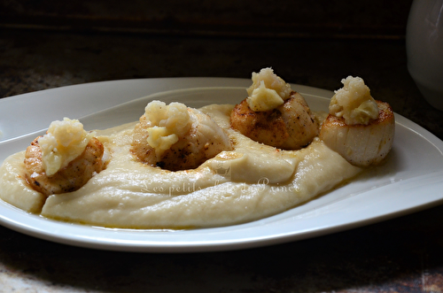 Noix de St Jacques, crème d'ail,  et purée de chou fleur