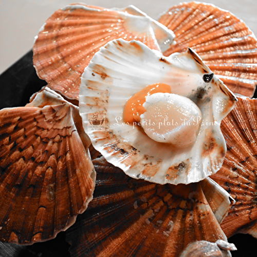 Octobre, début de la saison de la Coquille St Jacques ...