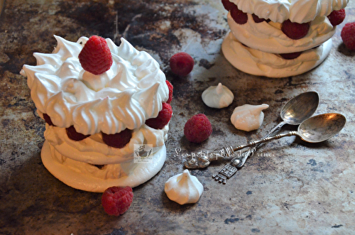 Pavlovas individuelles aux framboises