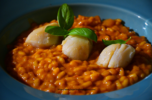 Risotto aux Saint Jacques