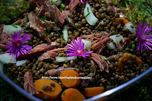 Salade de lentilles à la Gersoise