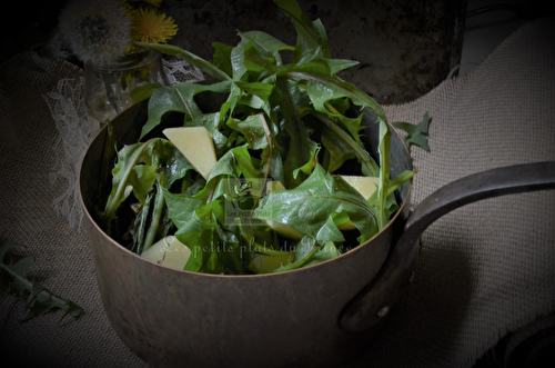 Soupe de pissenlits, la cuisine sauvage