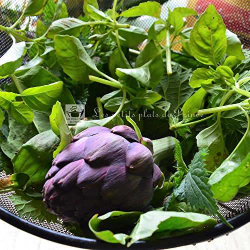 Spaghetti cueillette du jardin au Pesto vert orties basilic