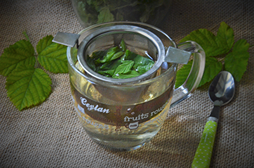 Tisane de pousses de ronces, l'infusion santé