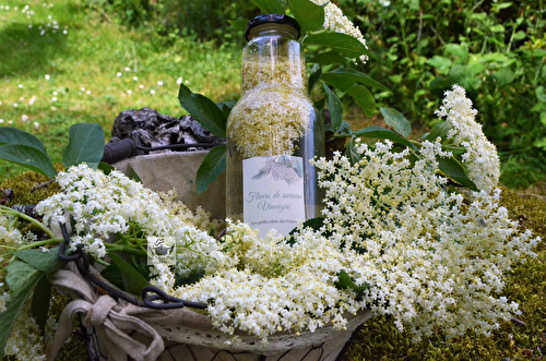 Vinaigre aux fleurs de sureau noir