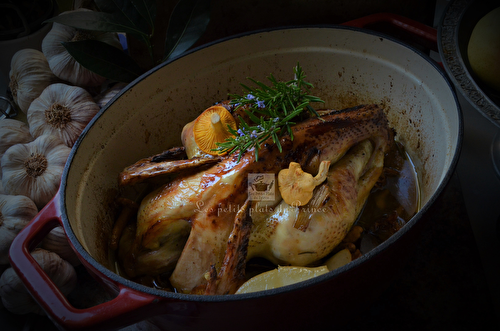 Poulet fermier du Gers, rôti avec poire et chanterelles