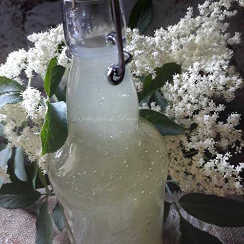 Limonade 100% naturelle à la fleur de sureau (Socata - Elderflower lemonade)