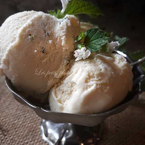 Glace à la mélisse du jardin