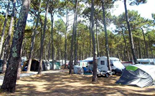 Comment cuisiner et que manger en camping ?