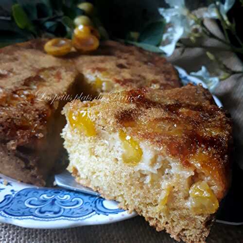 Petit gâteau moelleux aux prunes du jardin