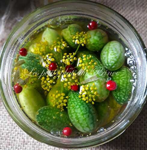 Mini concombres (Melothria scabra) au vinaigre
