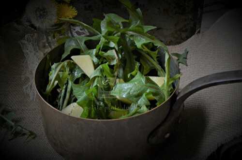 Dandelion soup, the wild kitchen