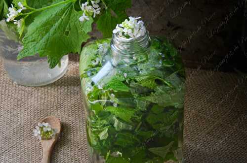 Vinaigre parfumé à l'alliaire, l'herbe à ail