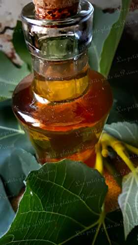 Vinaigre aromatisé aux feuilles de figuier