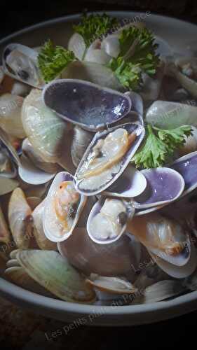 Coquillages Tellines en marinière