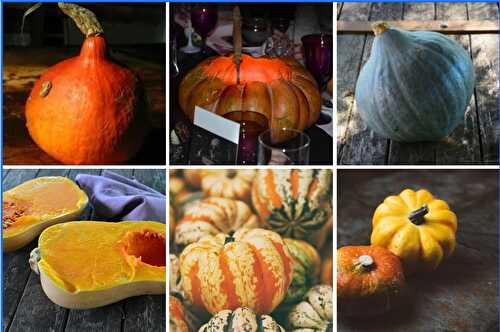 Cucurbitacées : sachez différencier les citrouilles, potirons, pâtissons et autres courges...