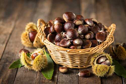 La châtaigne, le fruit de l'automne