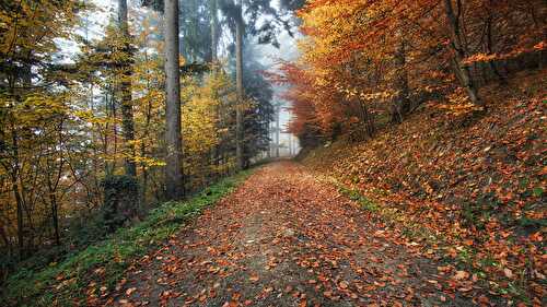 Que consommer en novembre ?