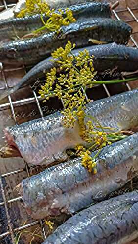 Sardines farcies au fenouil sauvage à la plancha, une recette fraîche et parfumée 