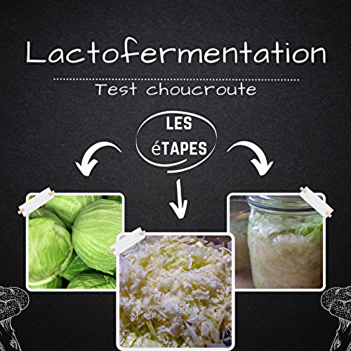 Comment réaliser de la choucroute (lactofermentation)