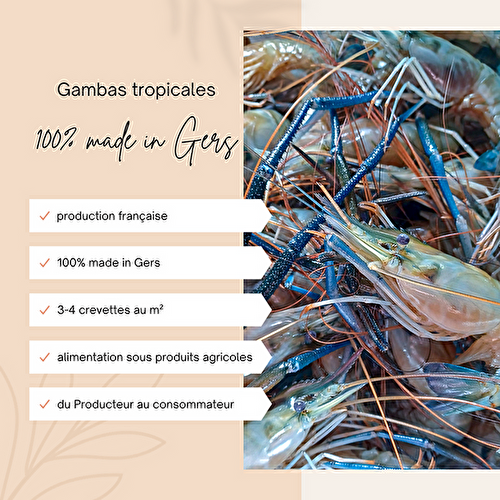 Focus sur ... La gambas 100% made in Gers