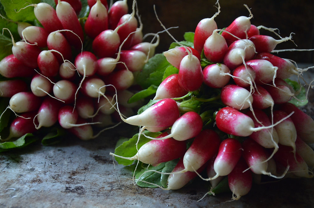 Zoom sur ... Le radis rose