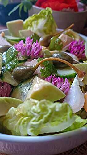 Salade sauvage de printemps aux fleurs de trèfle