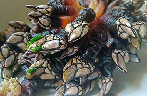 Zoom sur ... Le pouce-pied