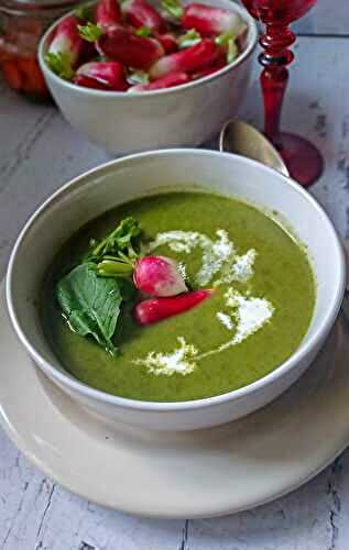 Velouté Antigaspi de Fanes de Radis Roses 