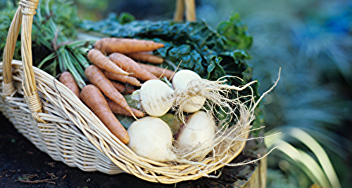 10 Garnitures pour Accompagner l'Agneau de Pâques 