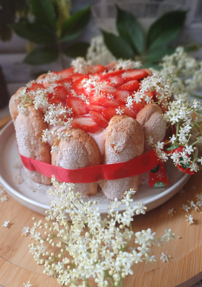  Charlotte aux Fraises & Fleur de Sureau – Un Délice Fleuri ! 