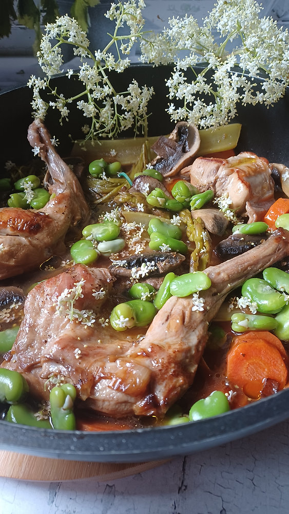 Fricassée de Lapin aux Fleurs de Sureau noir et Fèves Fraîches 