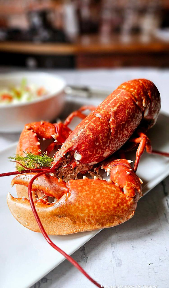  Homard vapeur et salade croquante au fenouil : un festin tout en délicatesse
