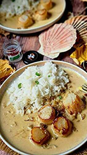 Coquilles Saint-Jacques à la crème de safran du Gers : une recette festive et locale