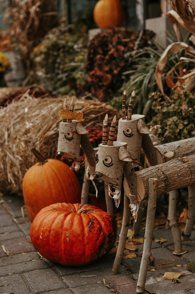  Halloween tout en douceur : 15 recettes automnales pour faire plaisir sans frissonner